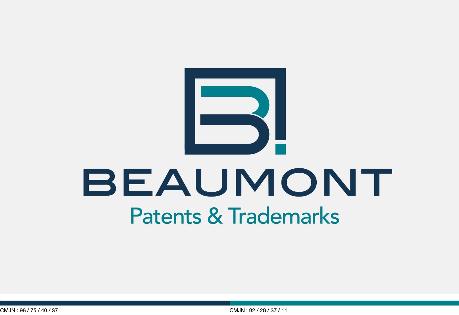 charte graphique logo