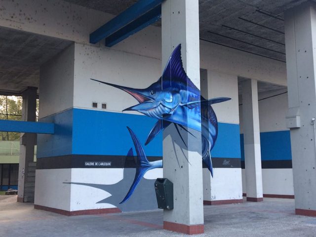 anamorphose grenoble
