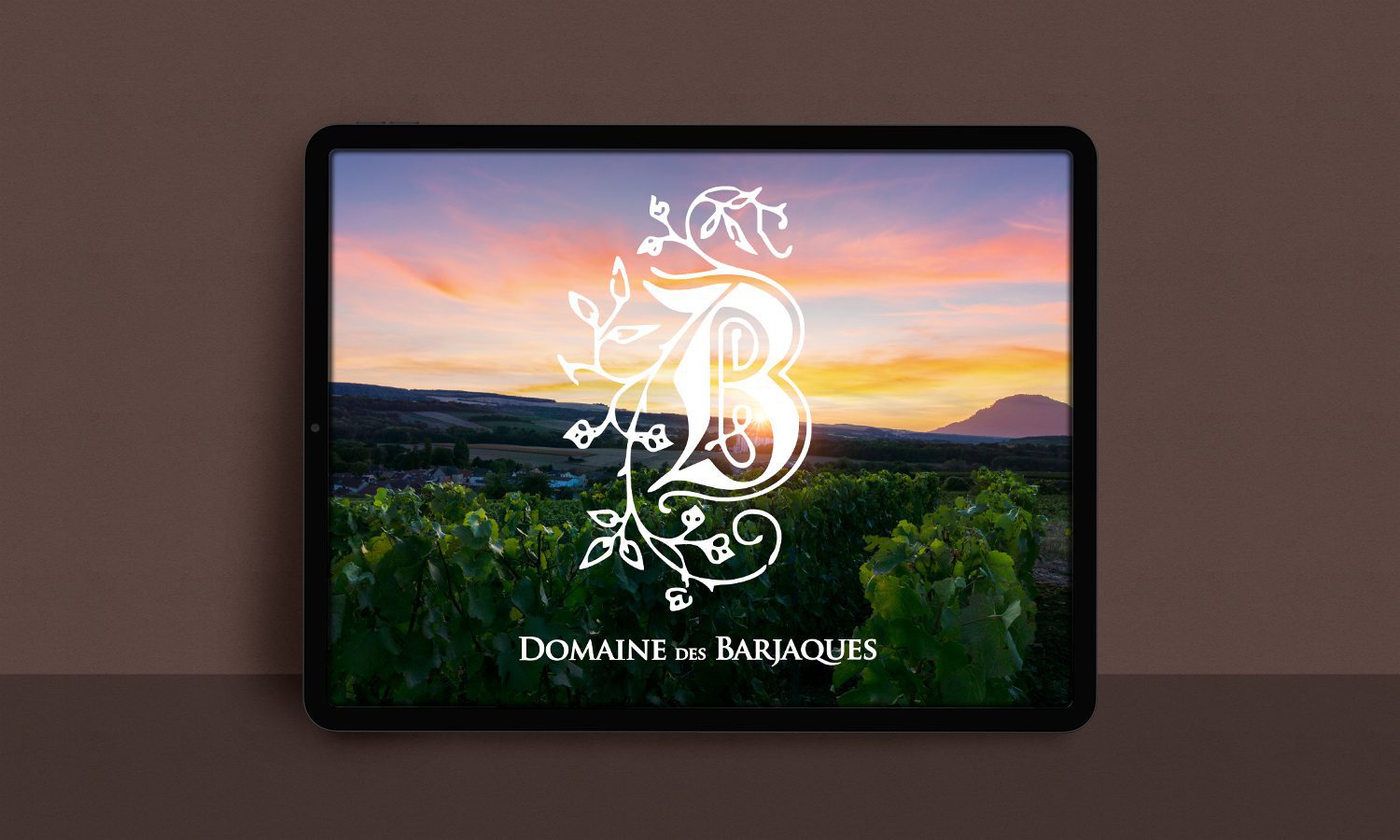 design vigneron